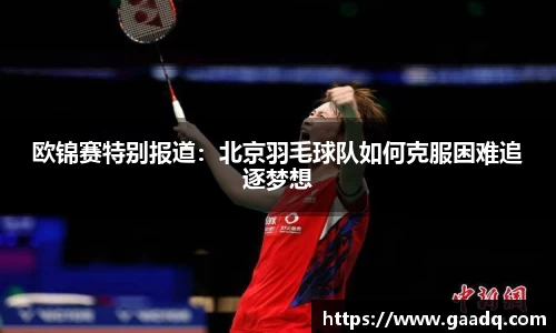 mk体育官网
