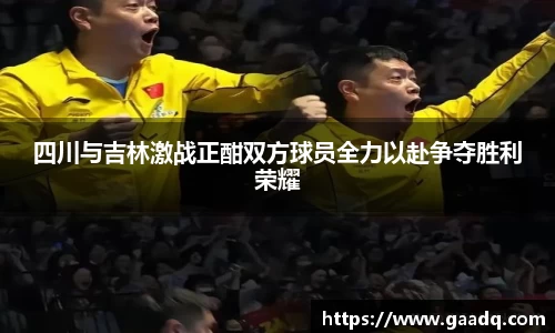 mk体育官网